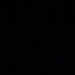 Meet your Posher, Brynne